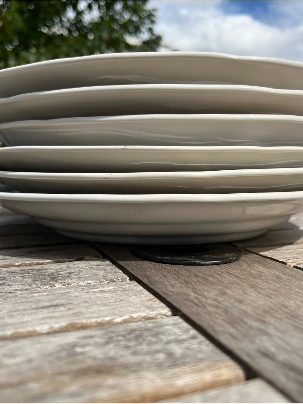 Set of 6 Newcor Geese Dinner Plates